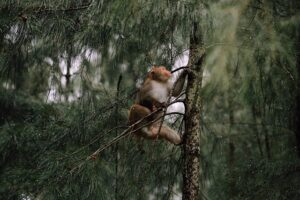 Image londonparis24.co.uk 864 1746064727156